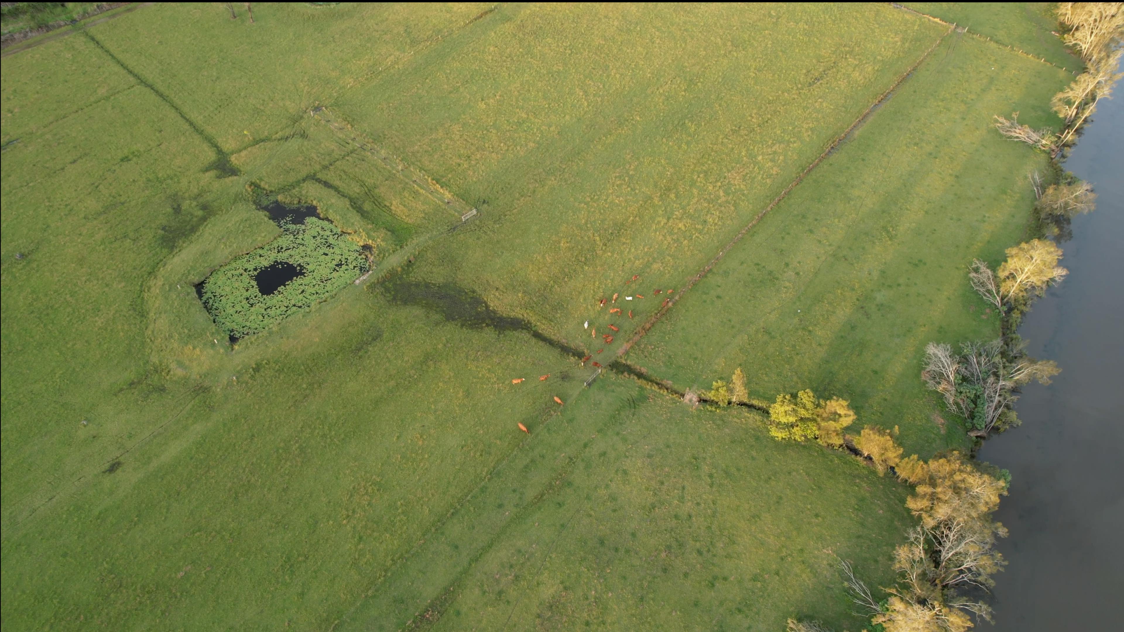 River Front Sanctuary