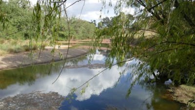 Image of River Lodge