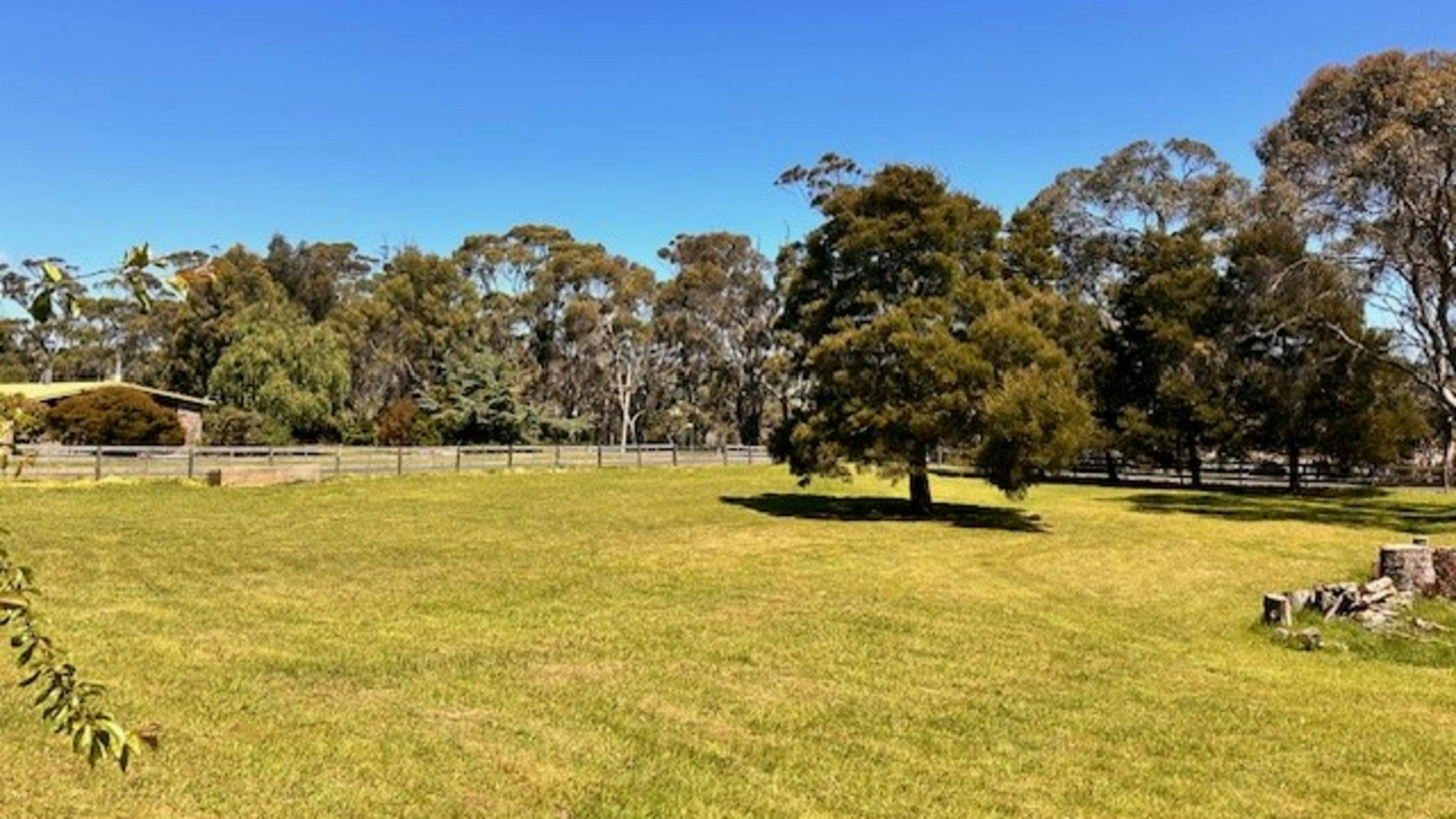 Site One is an acre of land with a black wood tree in the centre. Direct access from Dry St, with views of the Forth River through the trees. 