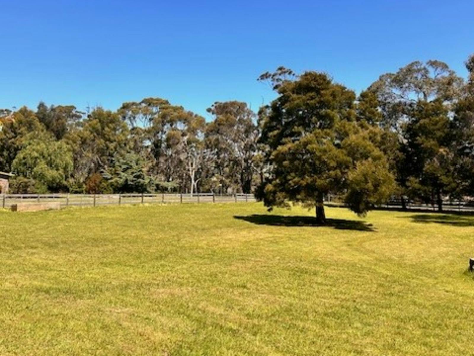 Site One is an acre of land with a black wood tree in the centre. Direct access from Dry St, with views of the Forth River through the trees.