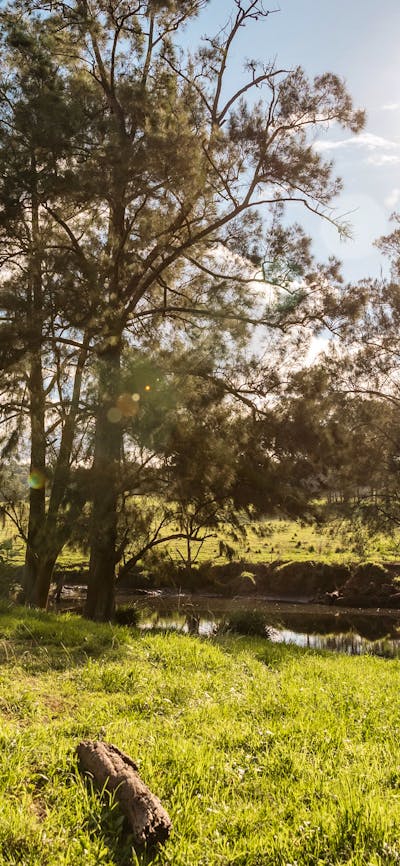 River Run Farm