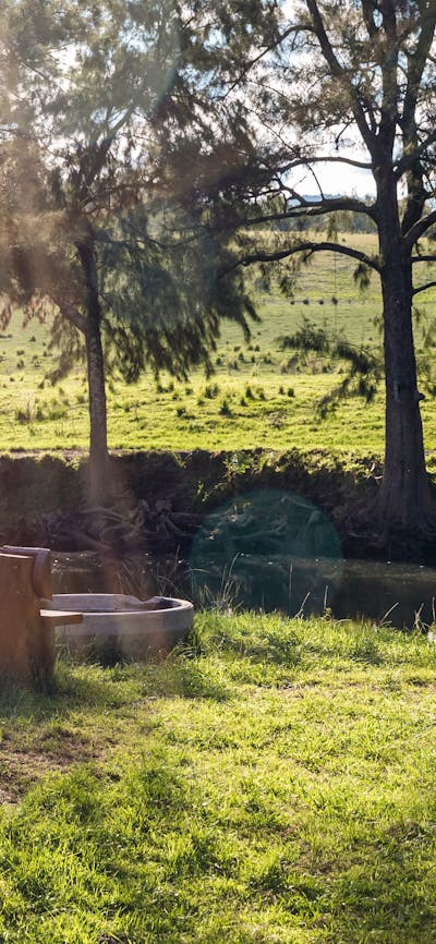 River Run Farm