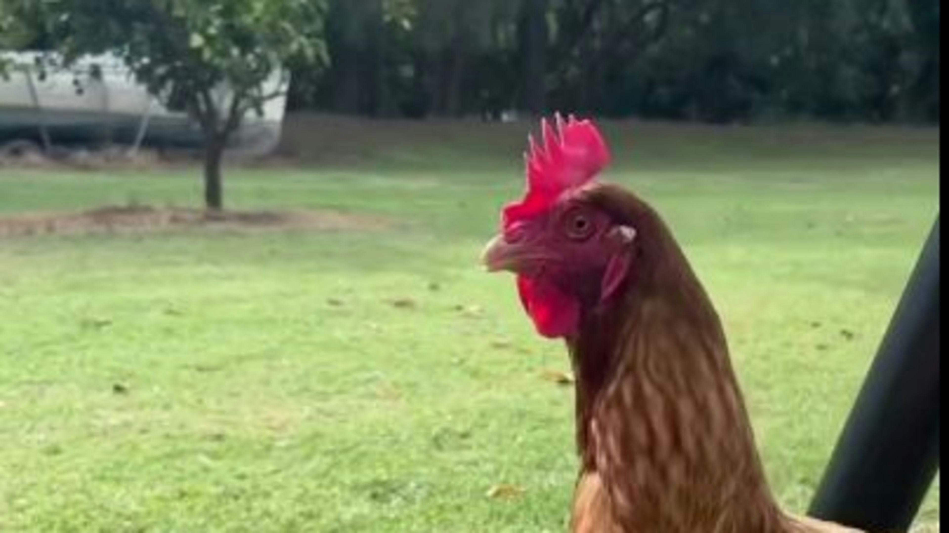 River Views - Island Paradise