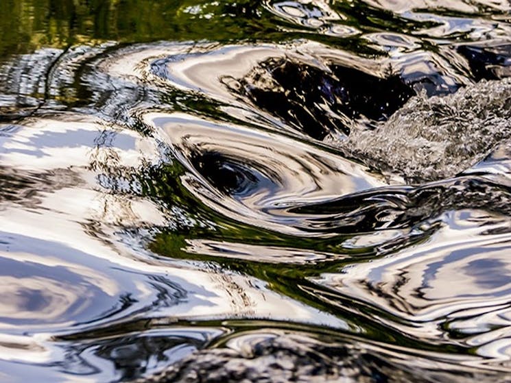 River swirls. Photo:Rosie Nicolai Copyright:NSW Government