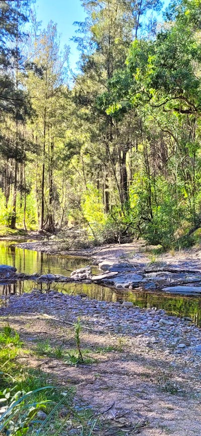 Riverdell Campgrounds