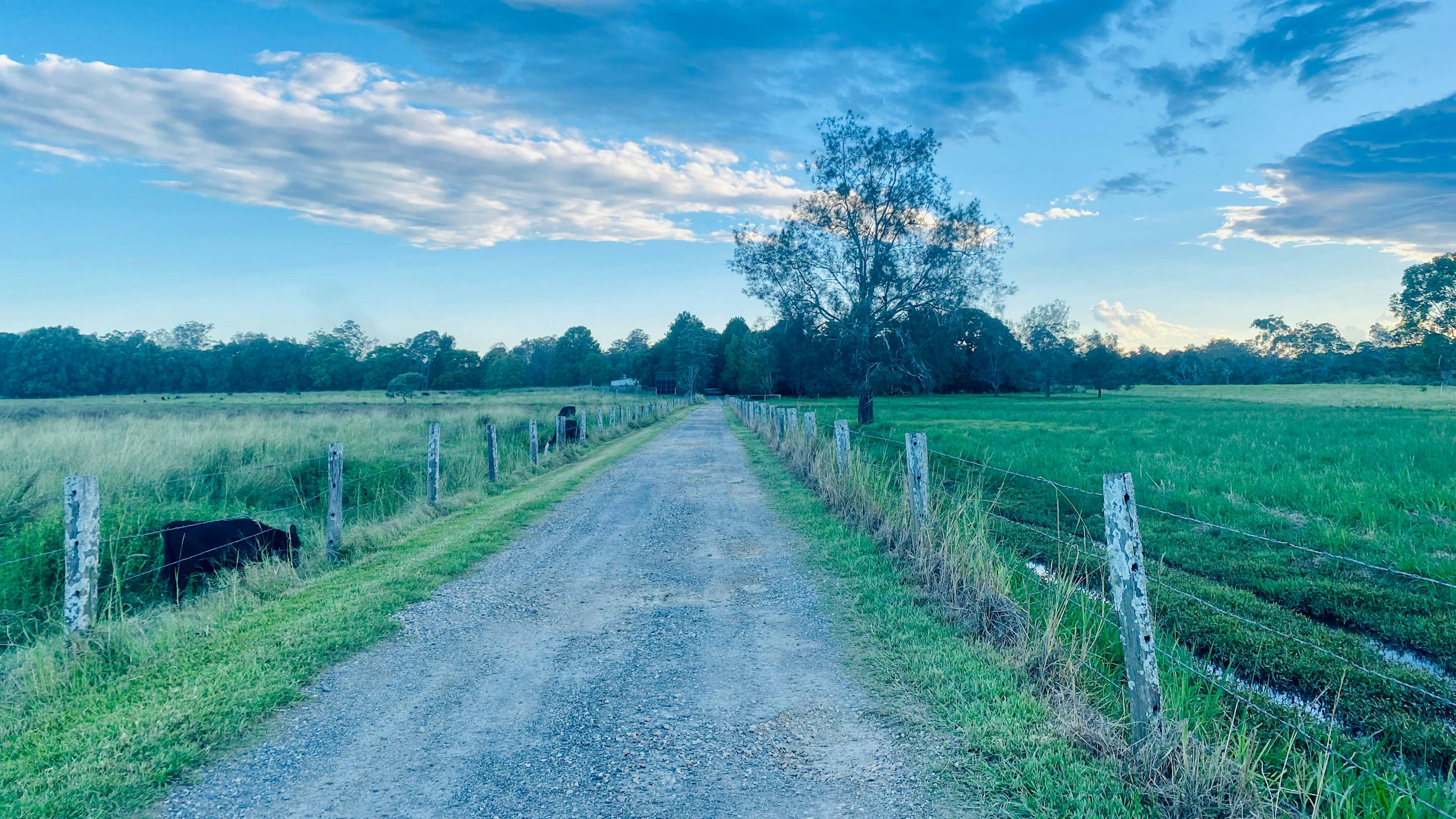 리버리 그린 남부카 밸리
