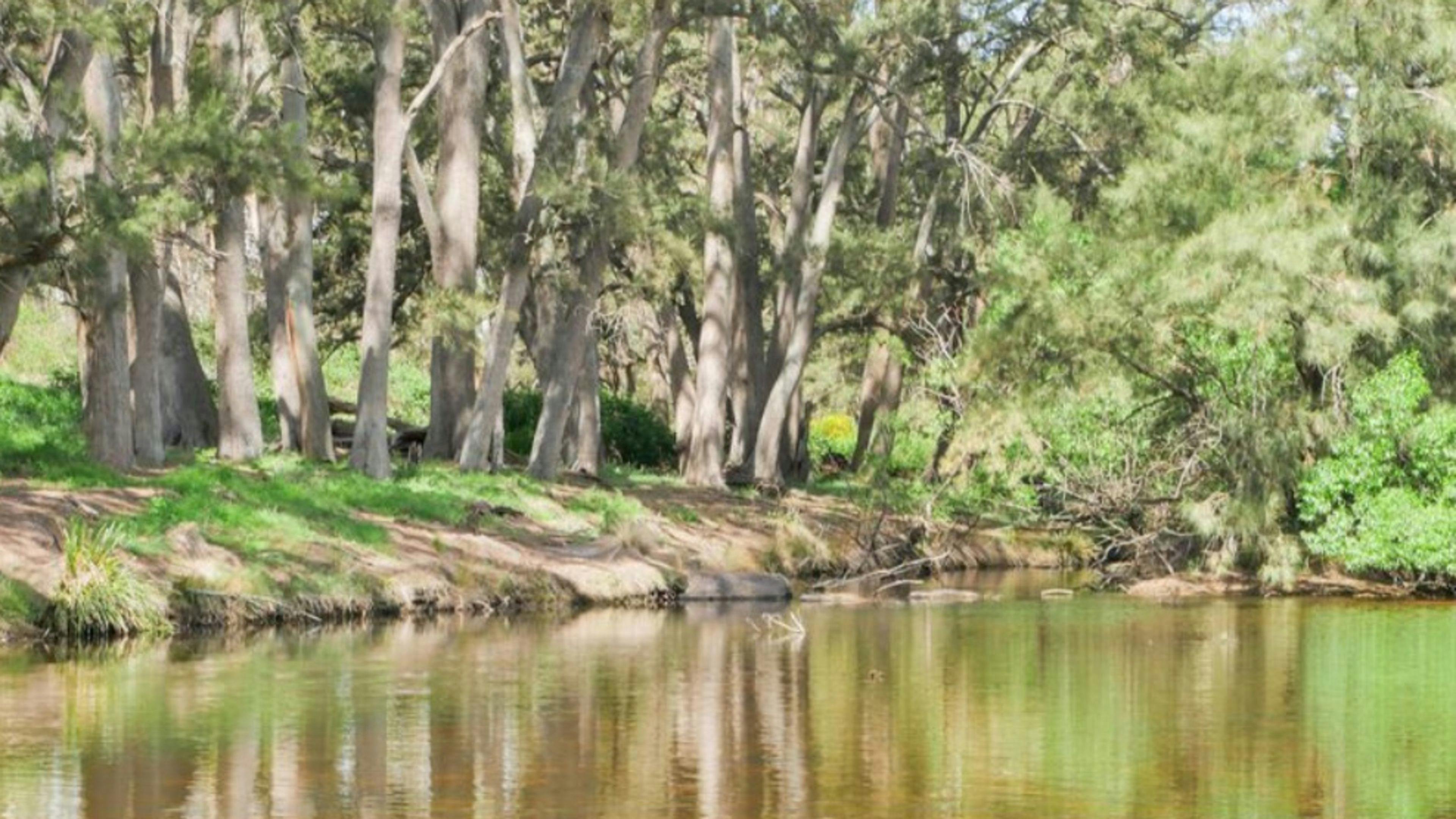 Riveroak Farm