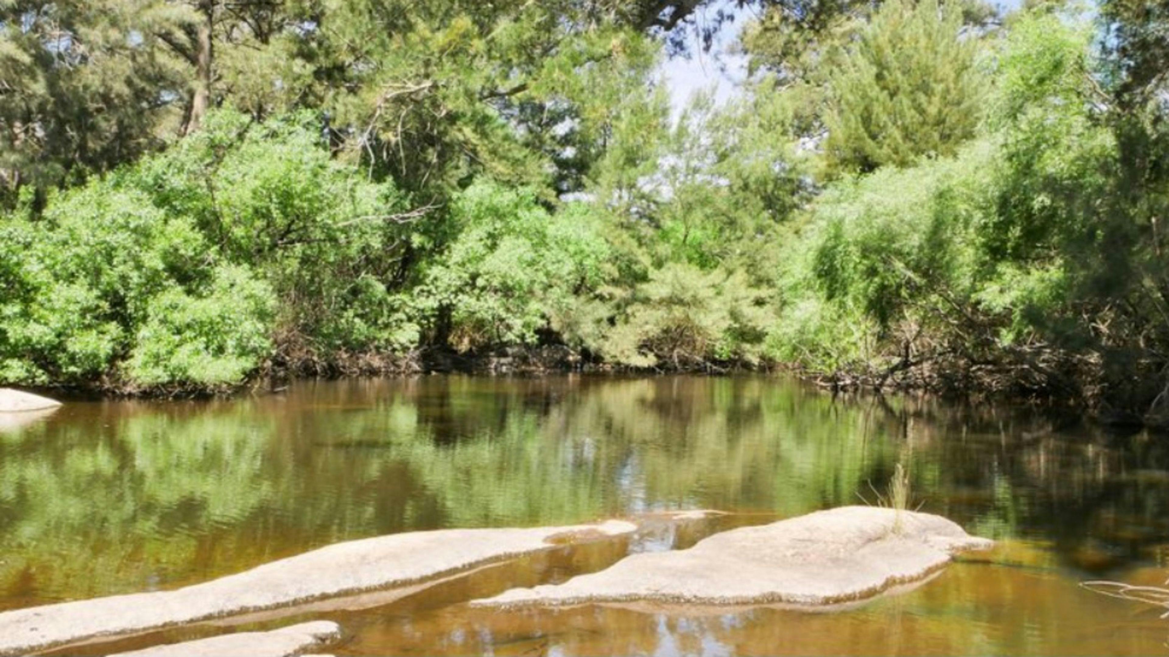 リバーオークファーム