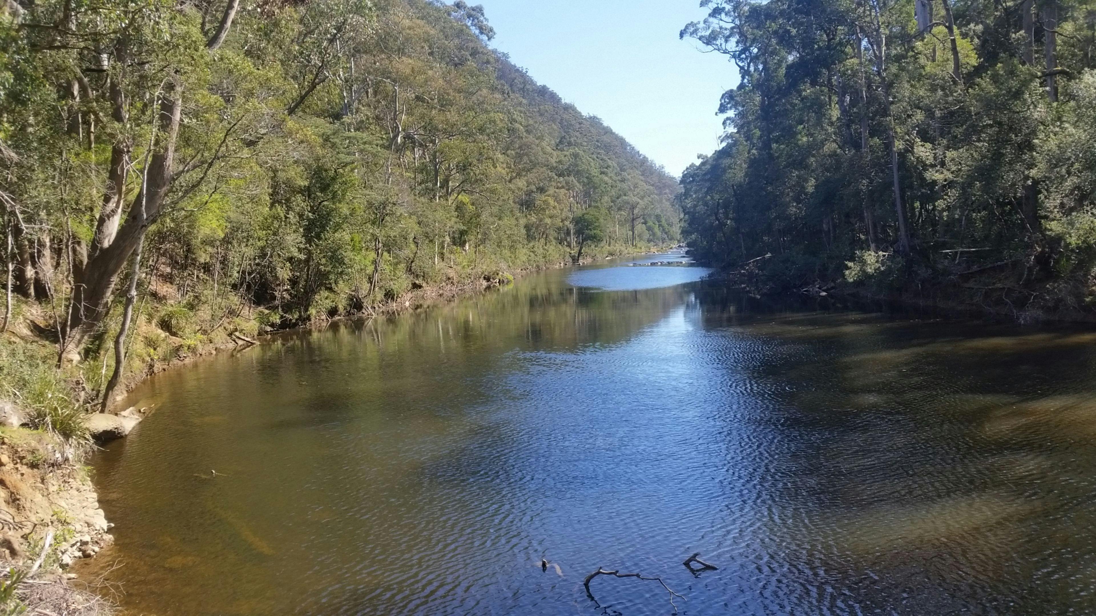 Rivers Edge