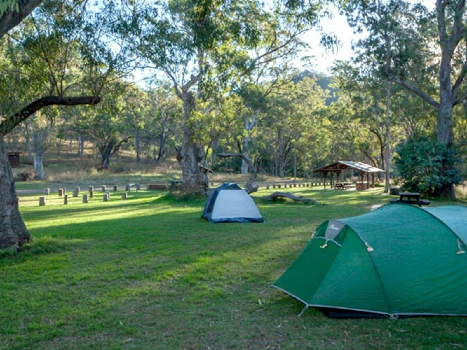 Tents at Riverside campground, Oxley Wild Rivers National Park. Photo: Gerhard Koertner/DPIE
