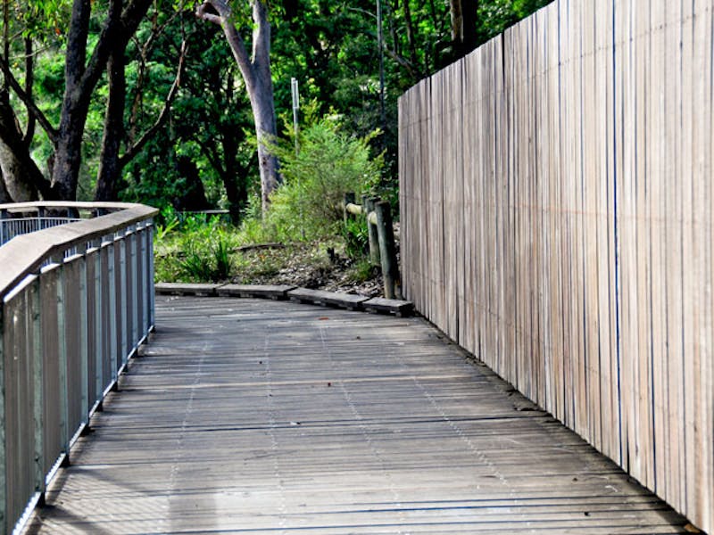 Riverside walking track, Lane Cove National Park. Photo: Kevin McGrath
