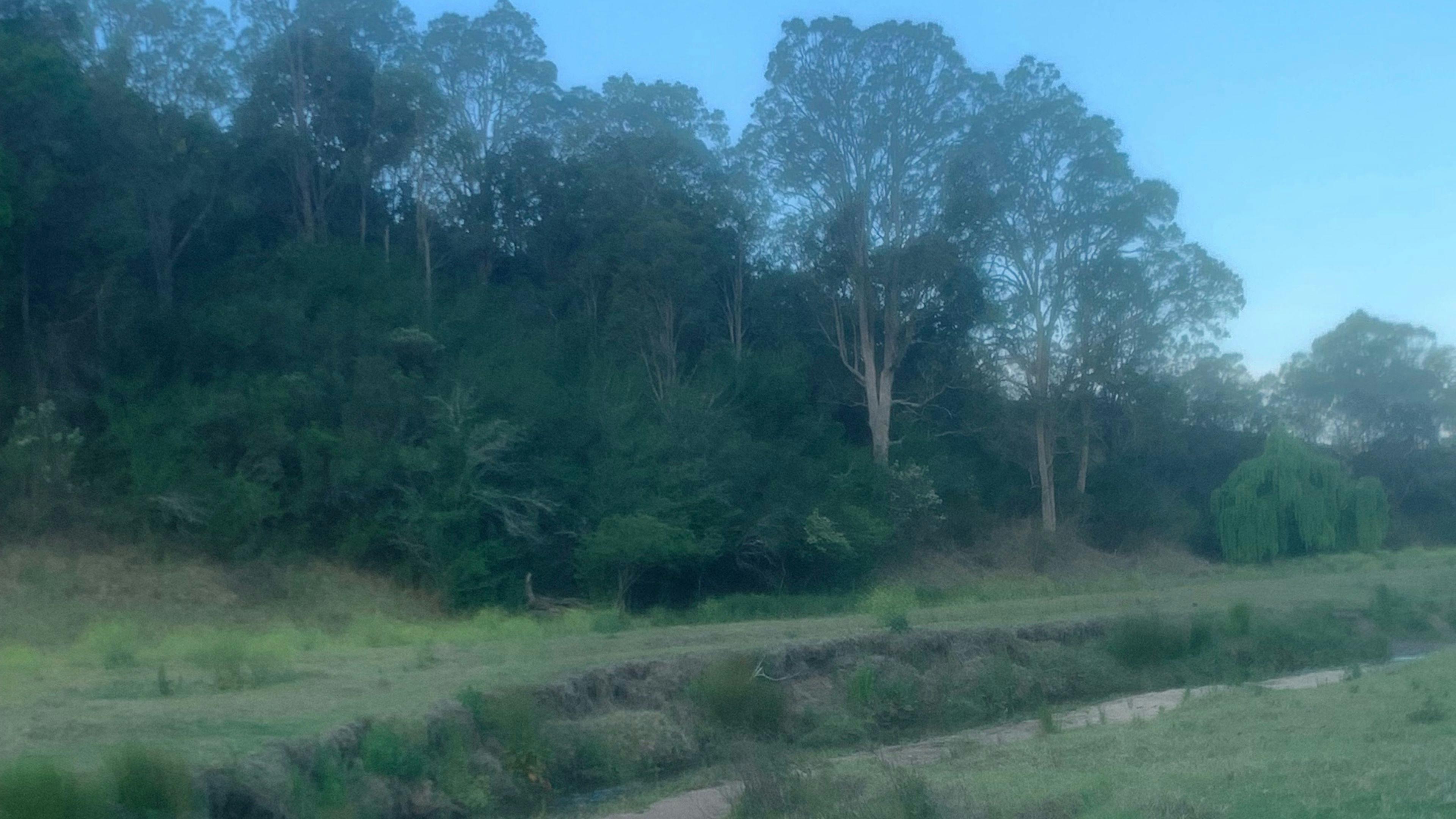 Part of our property
