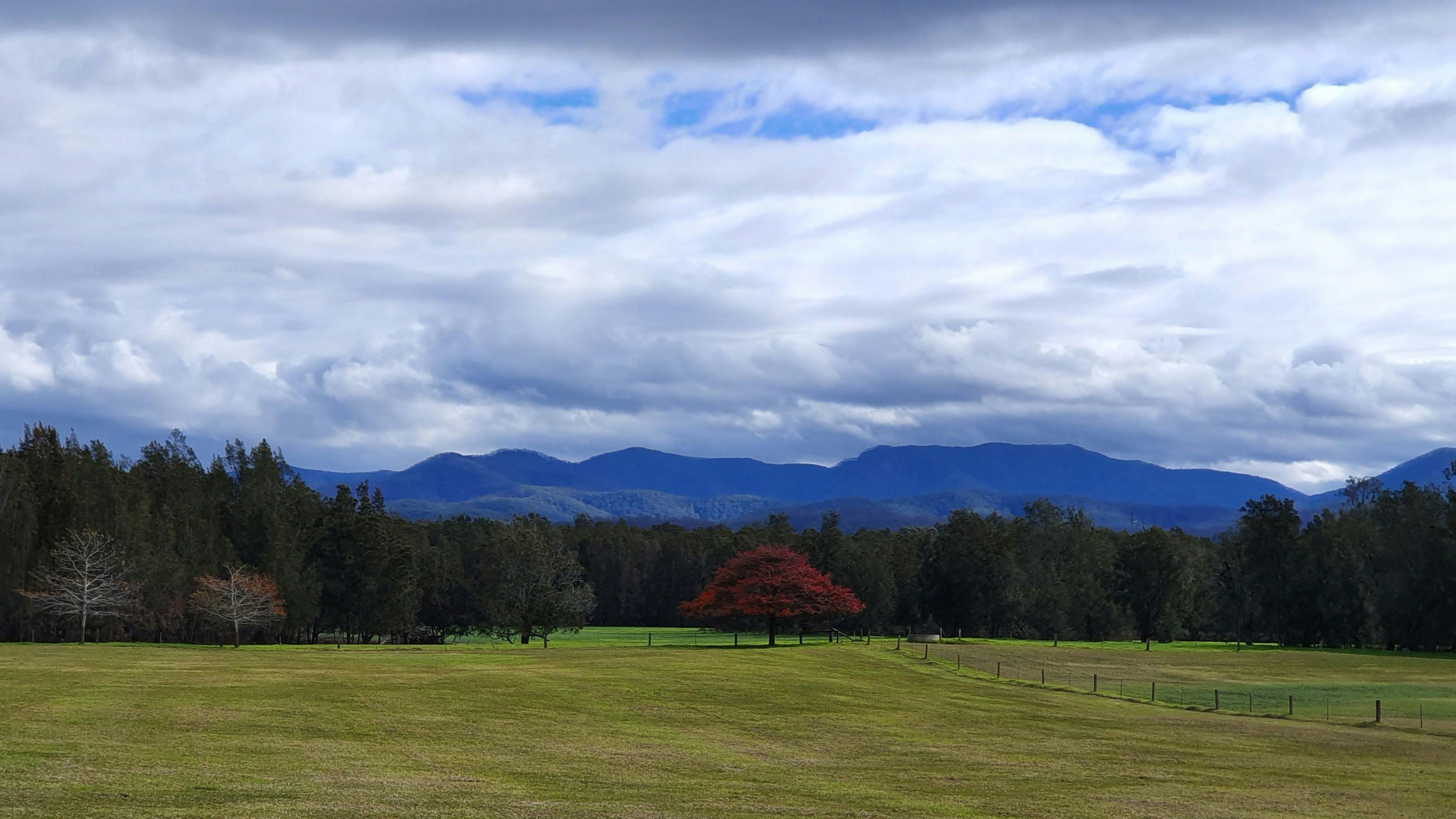 Riverview Farm, Bodalla
