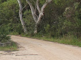 Riverview walking track