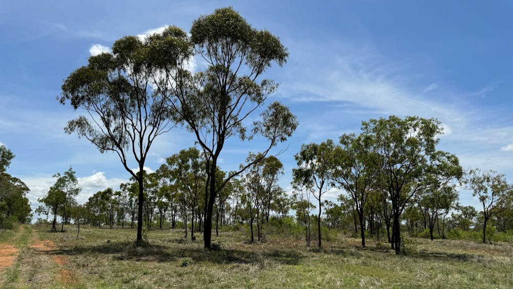 Five Leaf Clover Farm