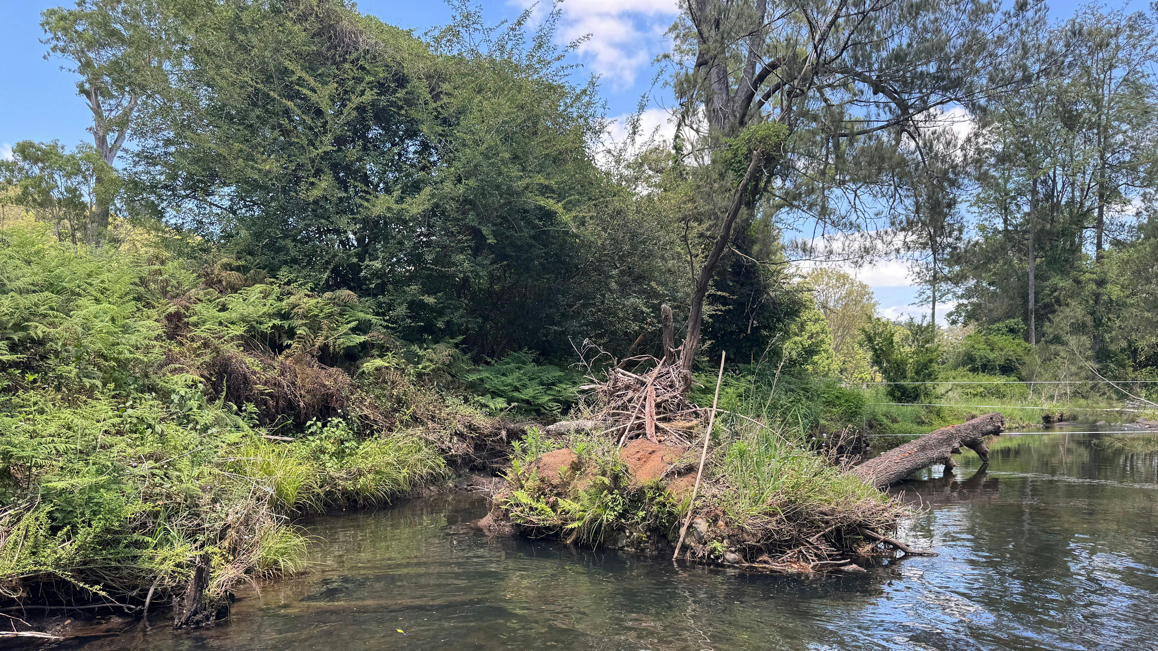 Warrazambil Creek Camp