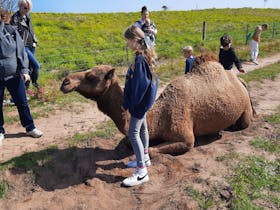 Robe Camel Farm - Self Contained Campers Only