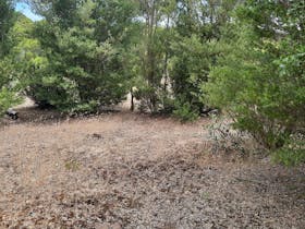 Robe Camel Farm - Self Contained Campers Only