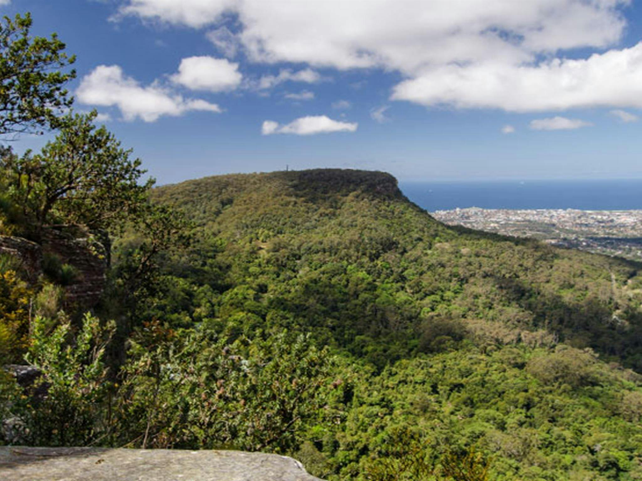 View, Illawarra Escarpment State Conservation Area. Photo: John Spencer