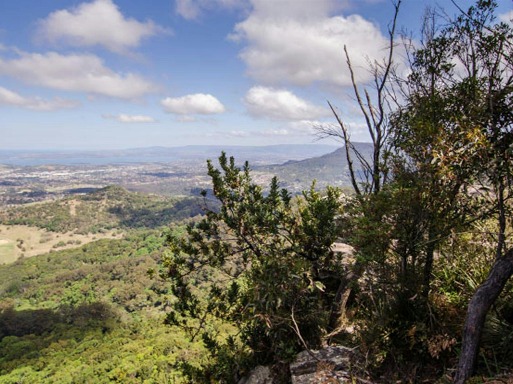 Cloud watching, Illawarra Escarpment State Conservation Area. Photo: John Spencer