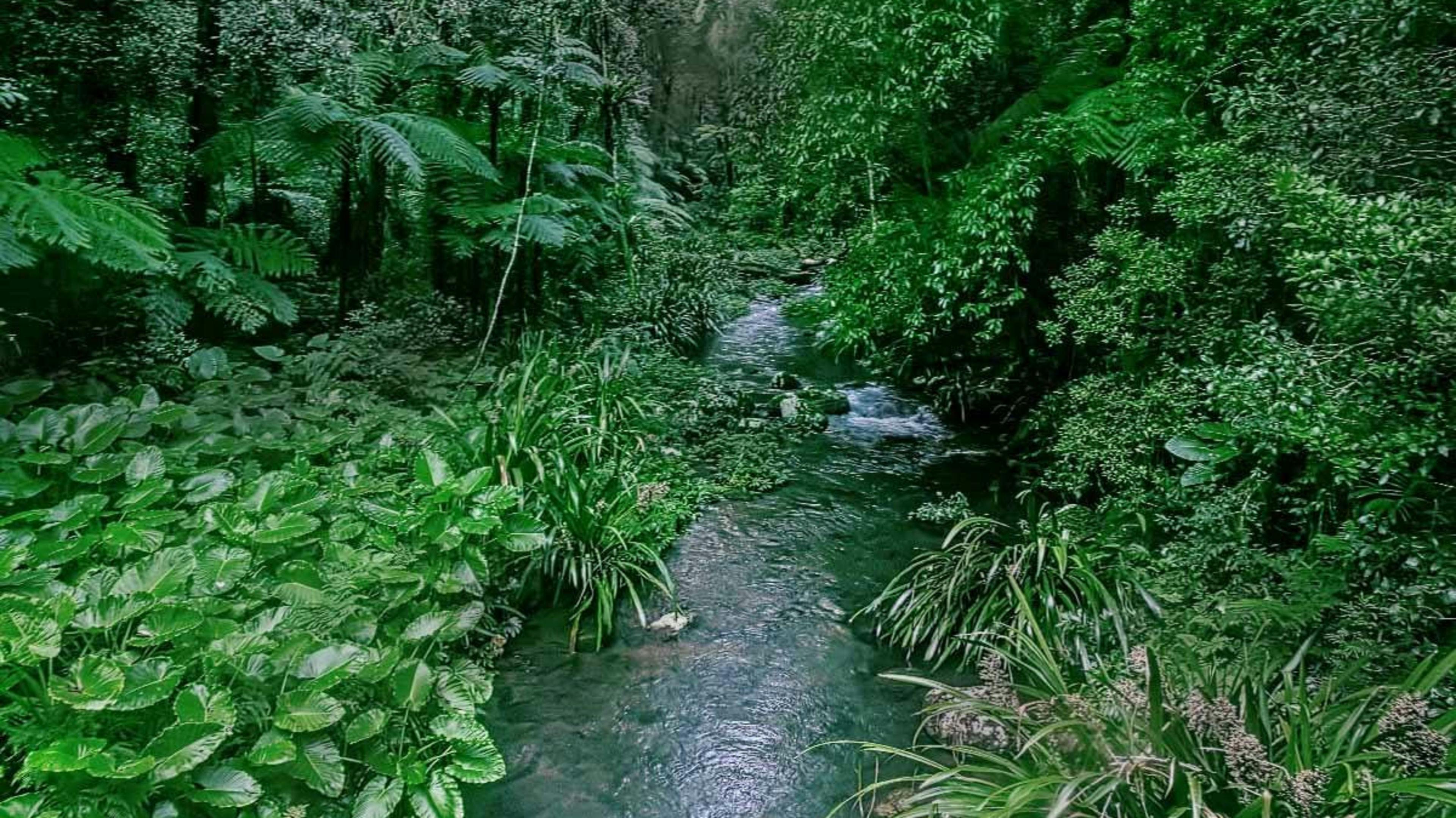 Rocky River Retreat Long Gully Rd