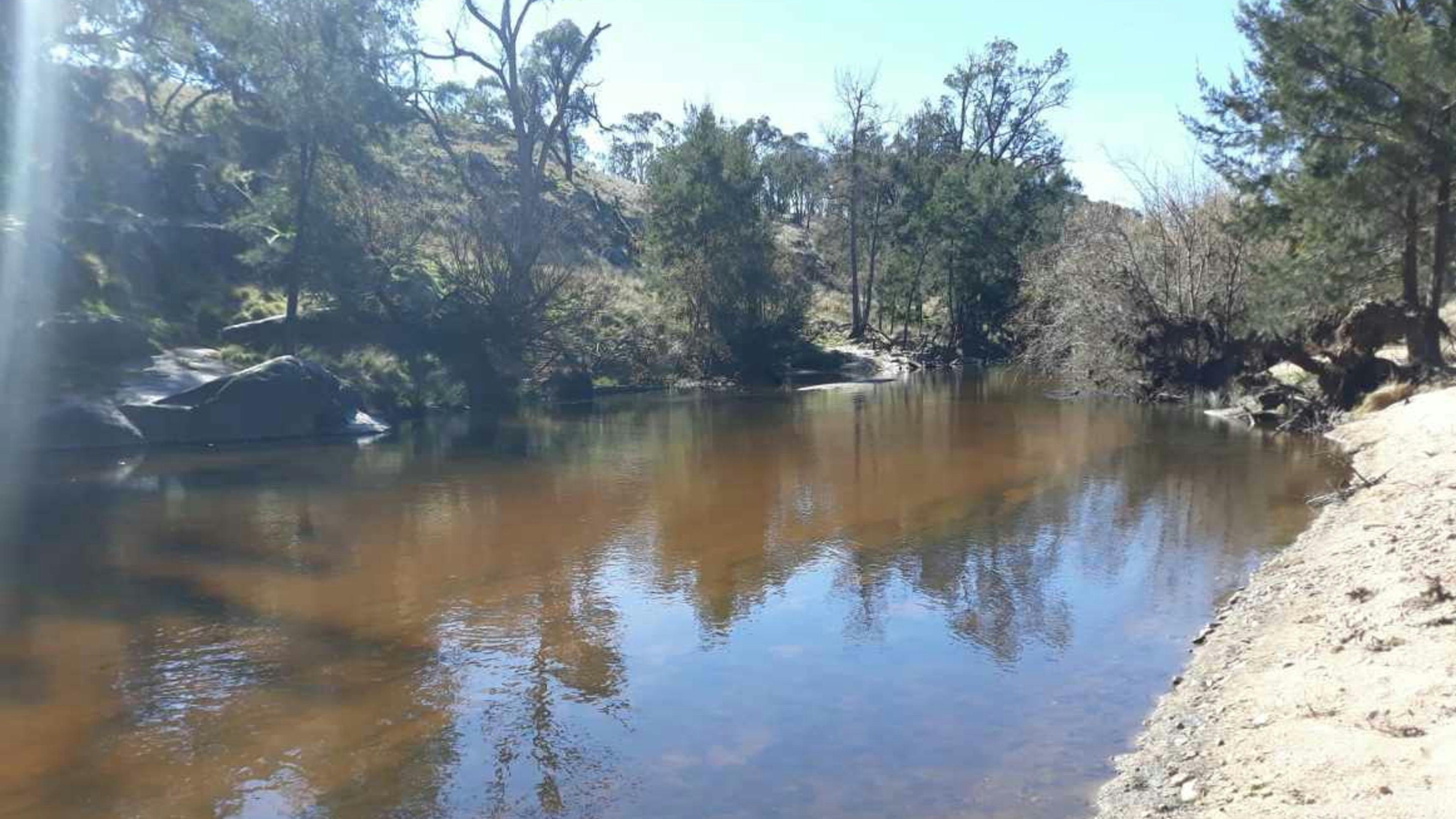 Still waters at Rockytop Riverside Camp on the Wambuul-Macquarie River.