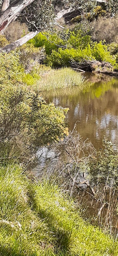 Yass River seclusion