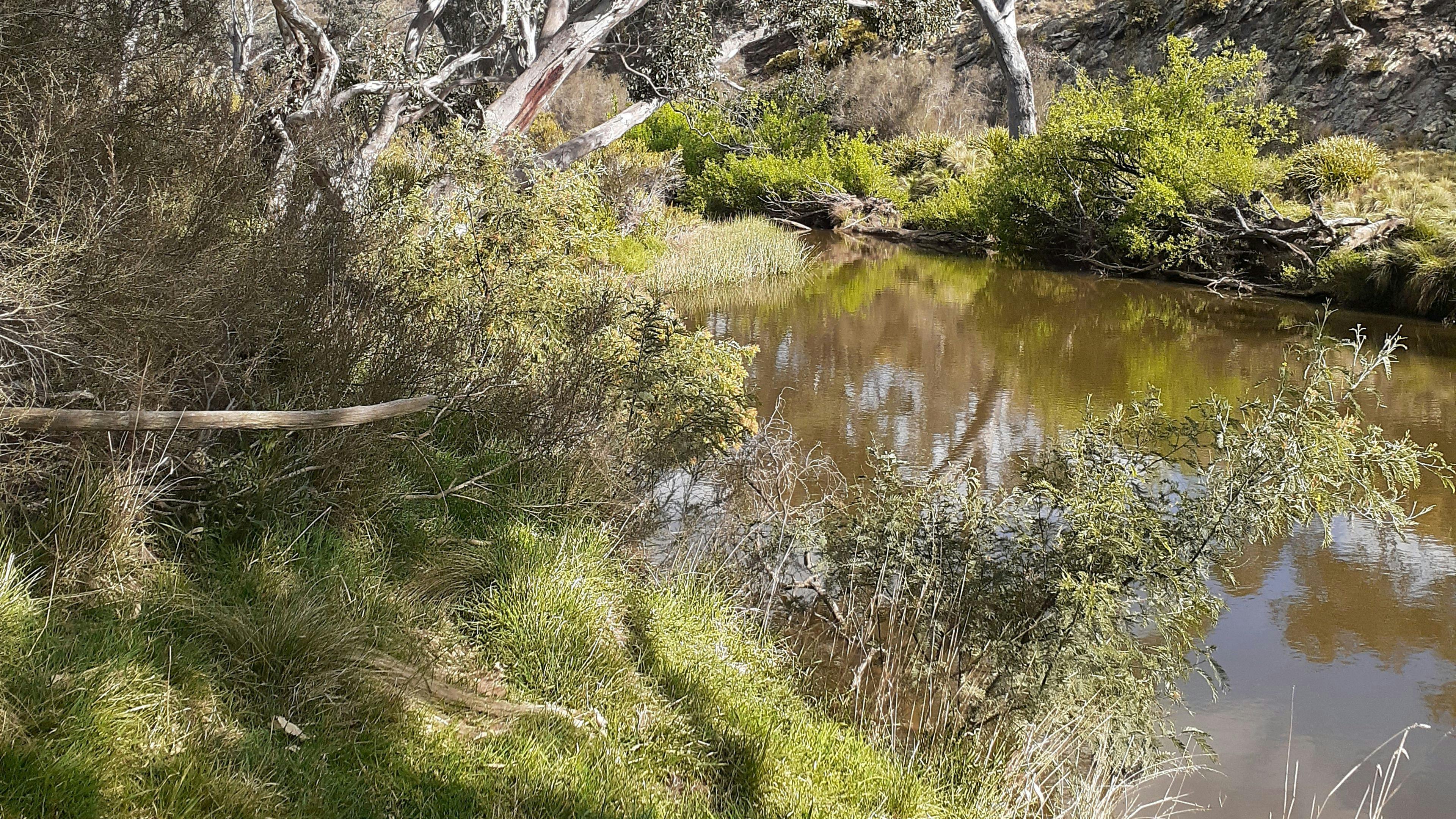 야스 강의 고립