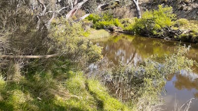 Yass River seclusion