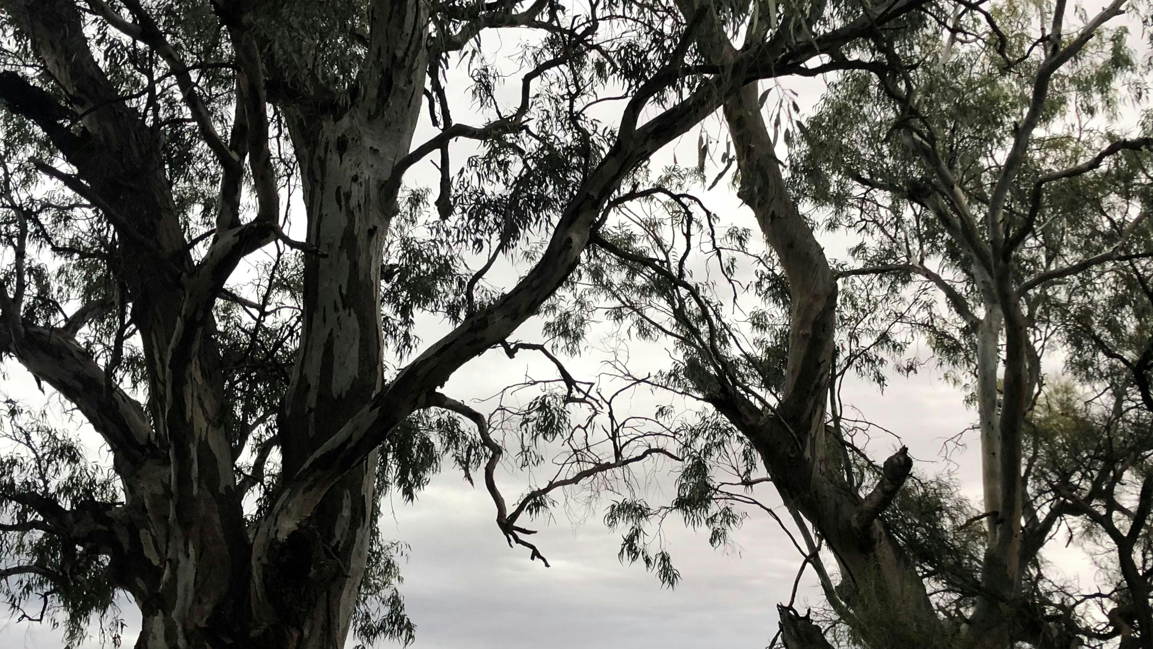 Rondel River Reserve