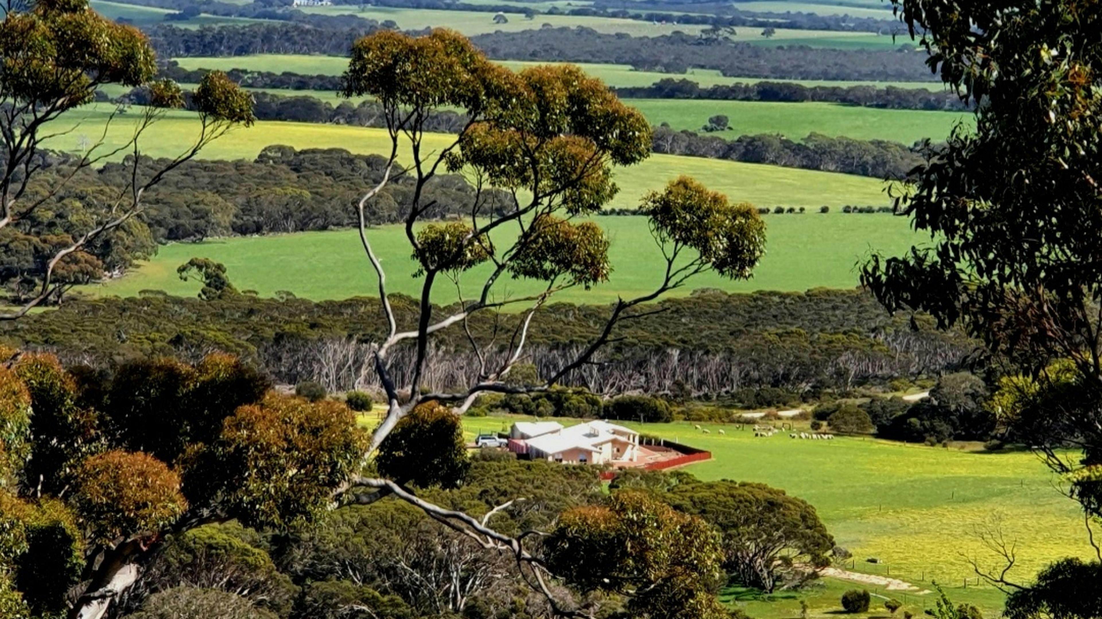 Rose Cottage Caravan Rest