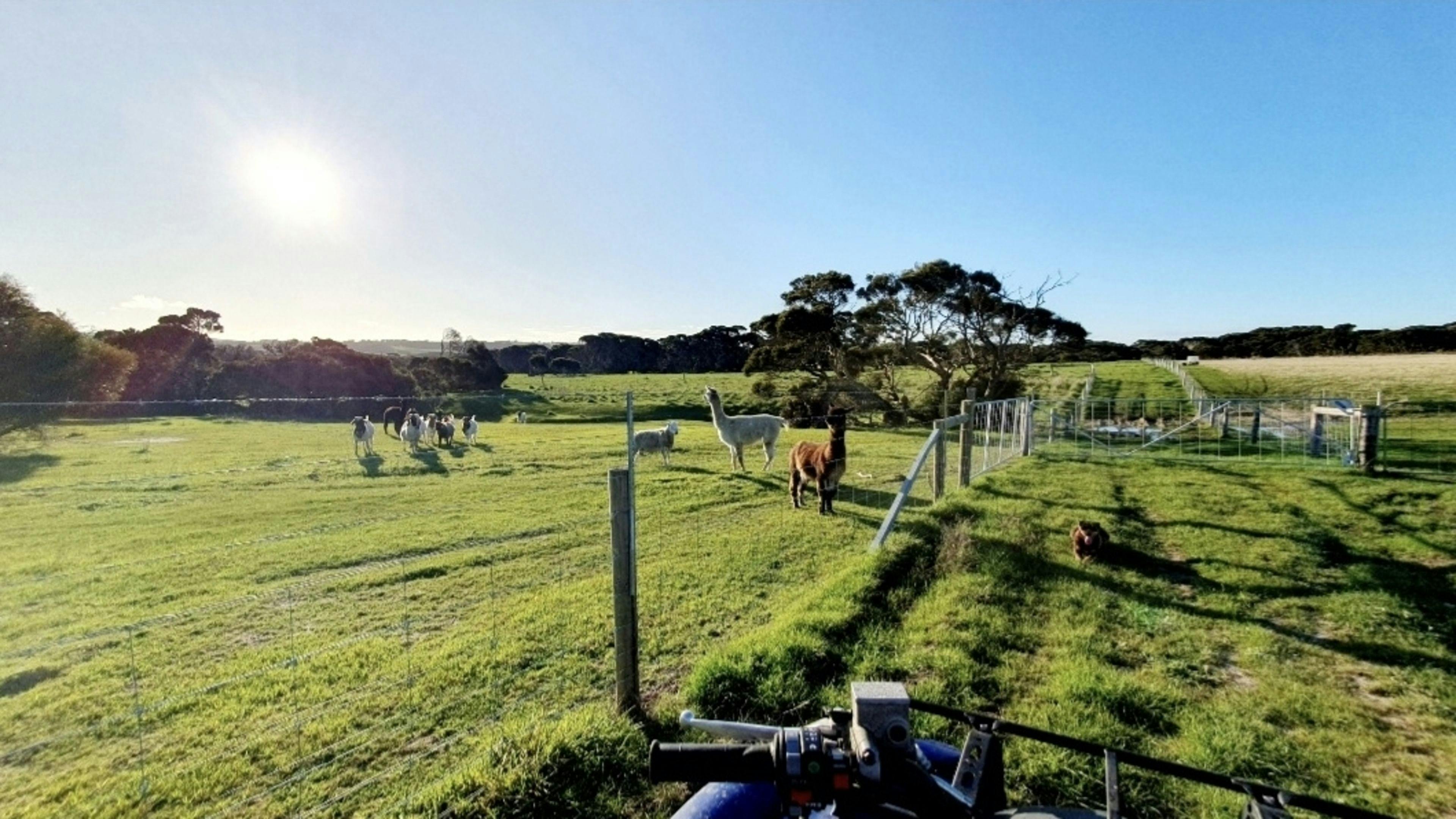 Rose Cottage Caravan Rest