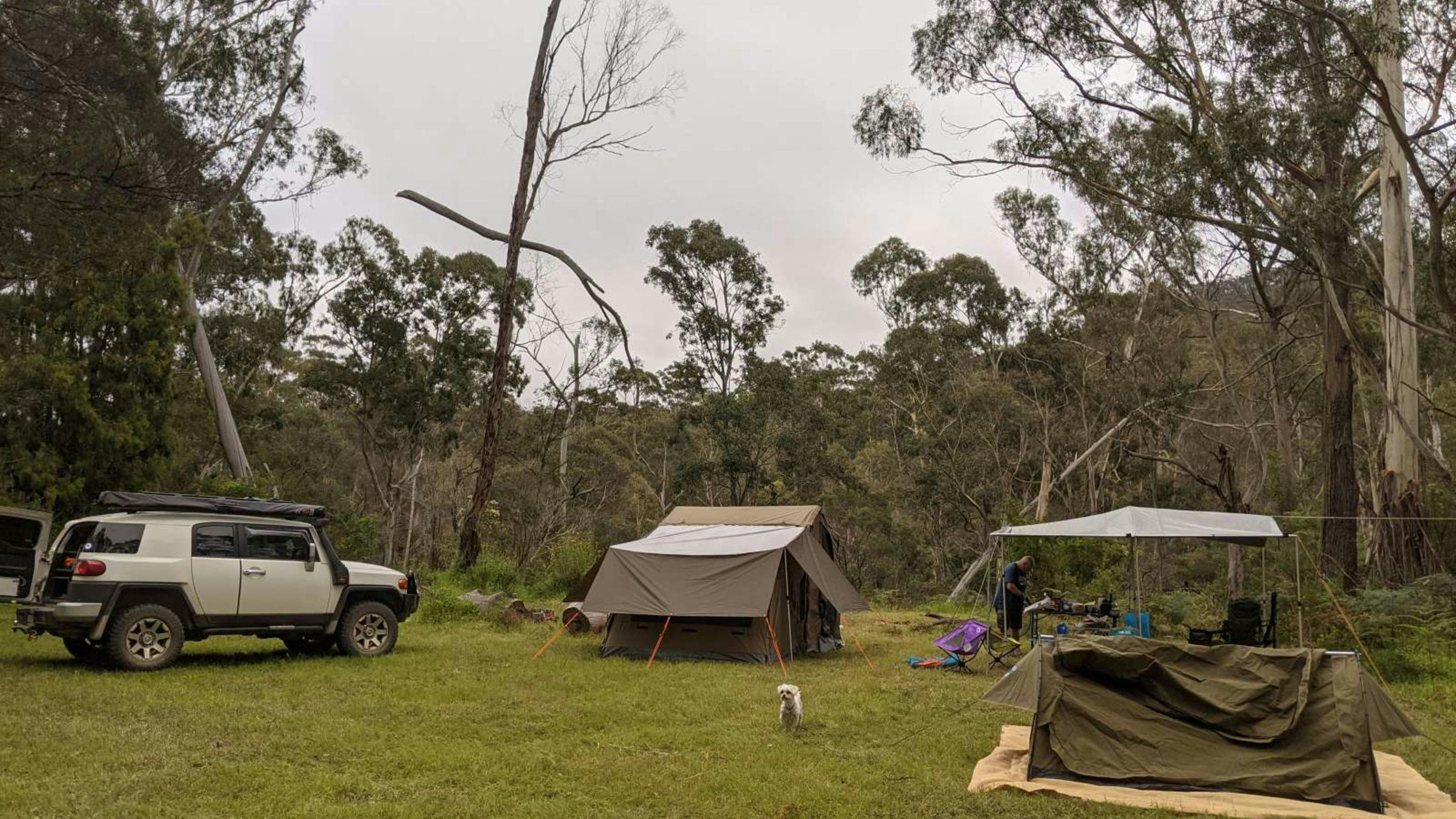 Rose Gum Farm