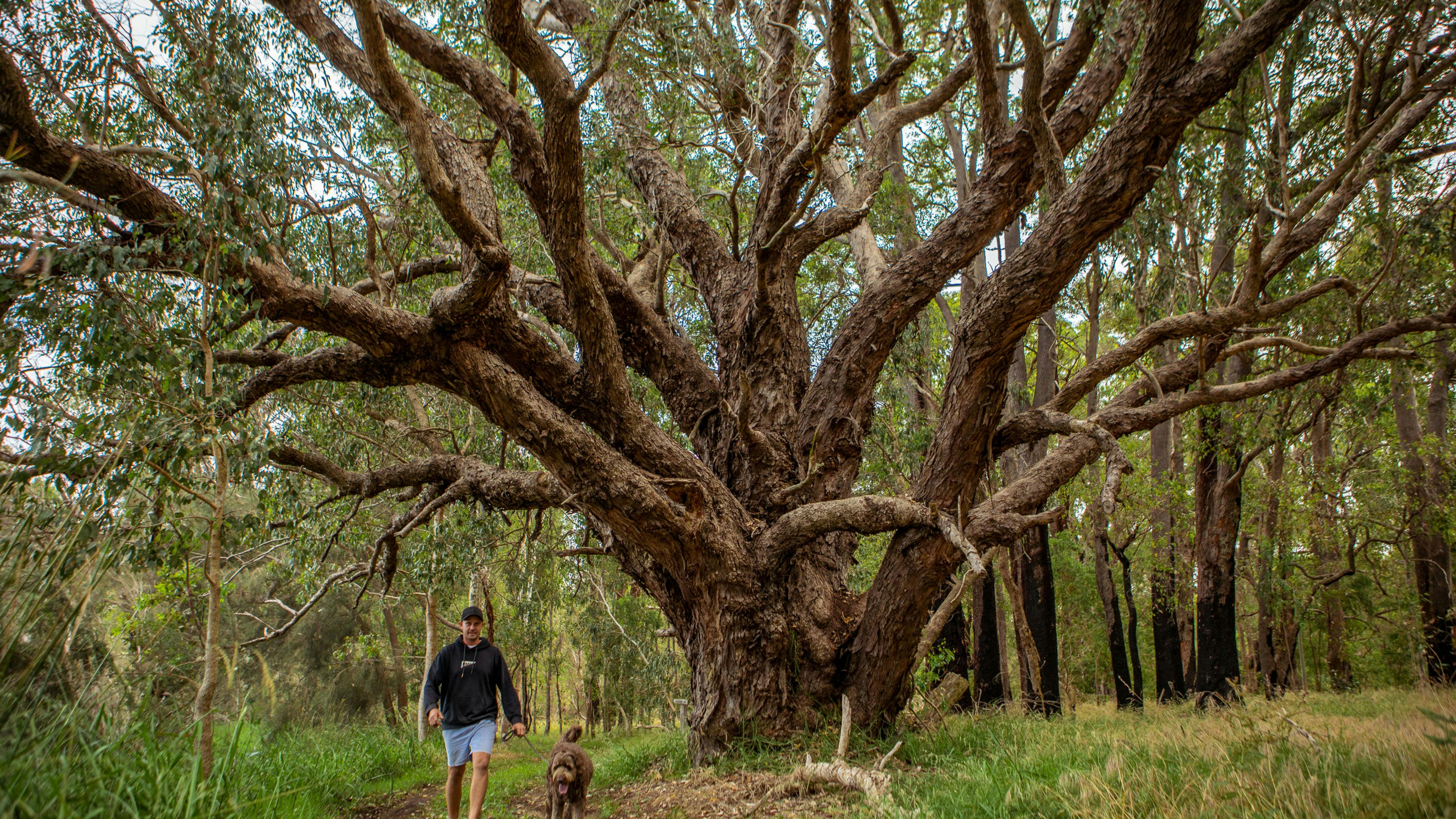 Rose’s Reserve