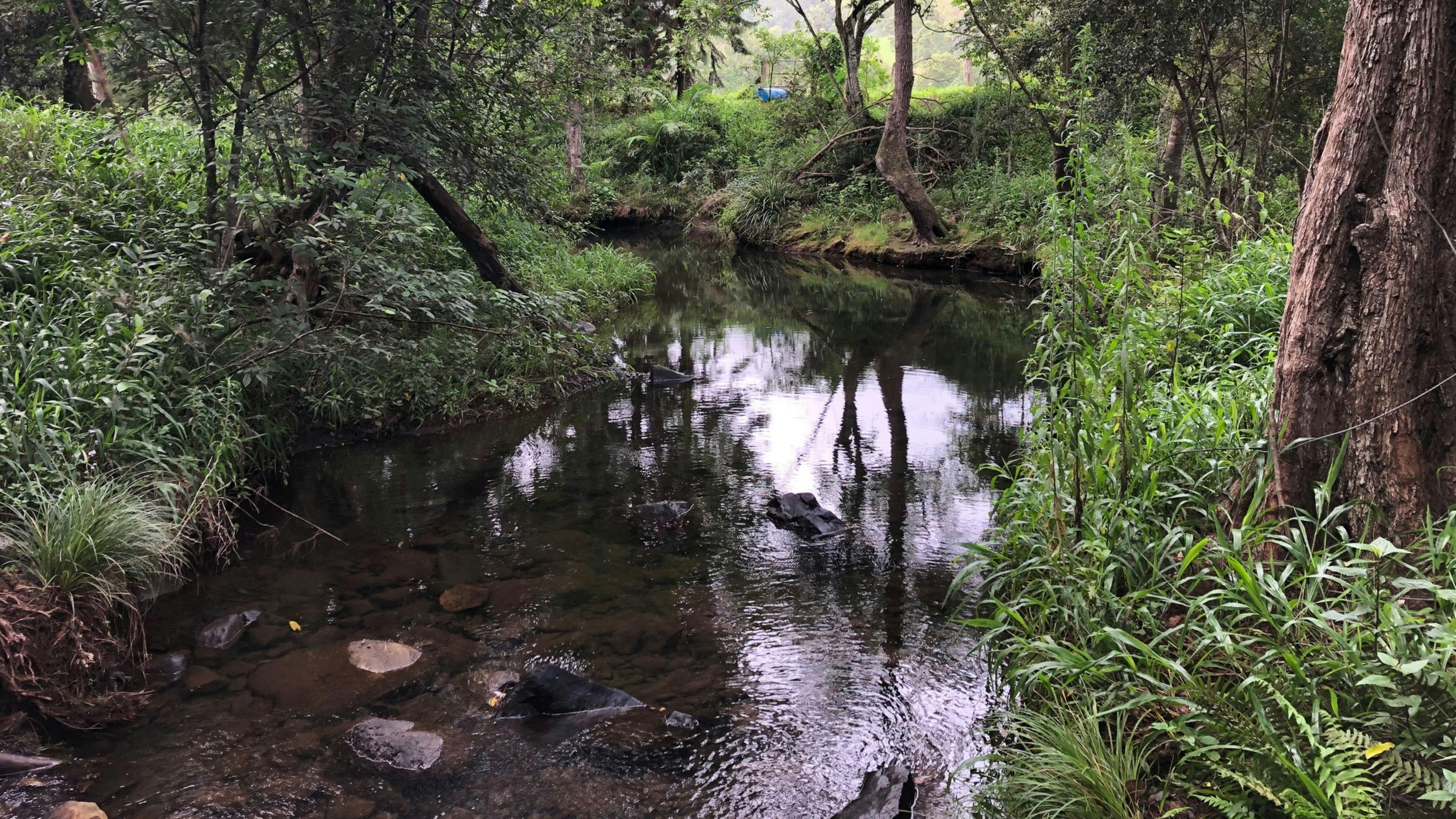Roseberry Creek Beef Cattle Farm