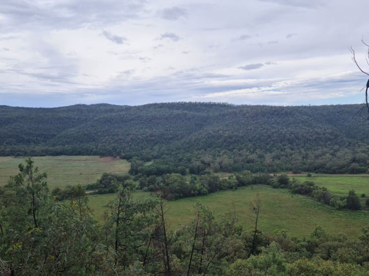 View of Eulah Creek Valley.