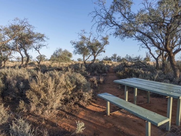 A picnic table at Rosewood picnic area in Mungo National Park. Photo: John Spencer &copy; DPIE