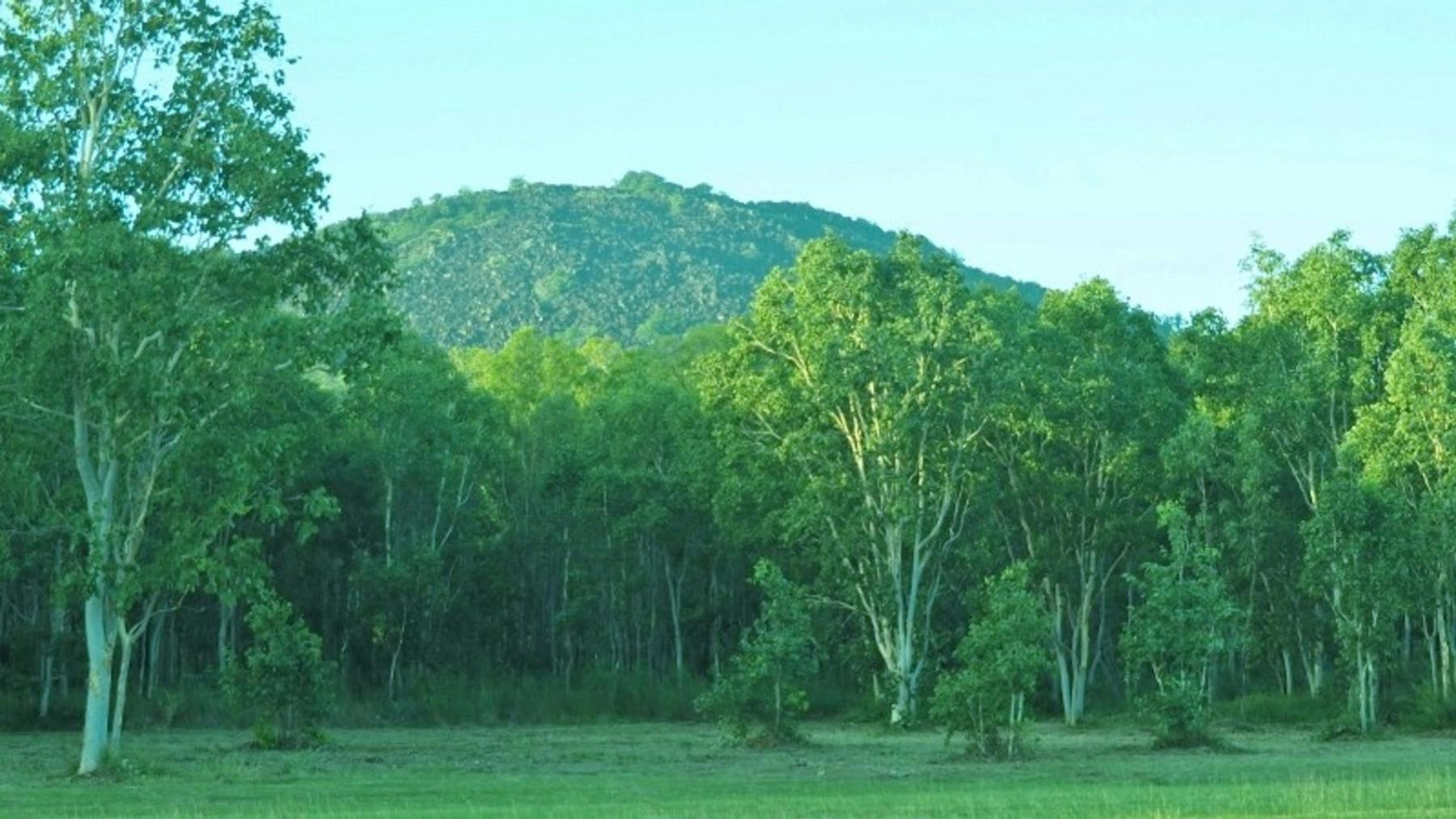 Airstrip Camp Site