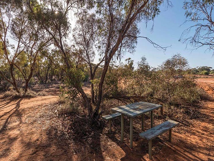Rustic picnic table set beneath trees, surrounded by a patchwork of scrubland. Image credit: John