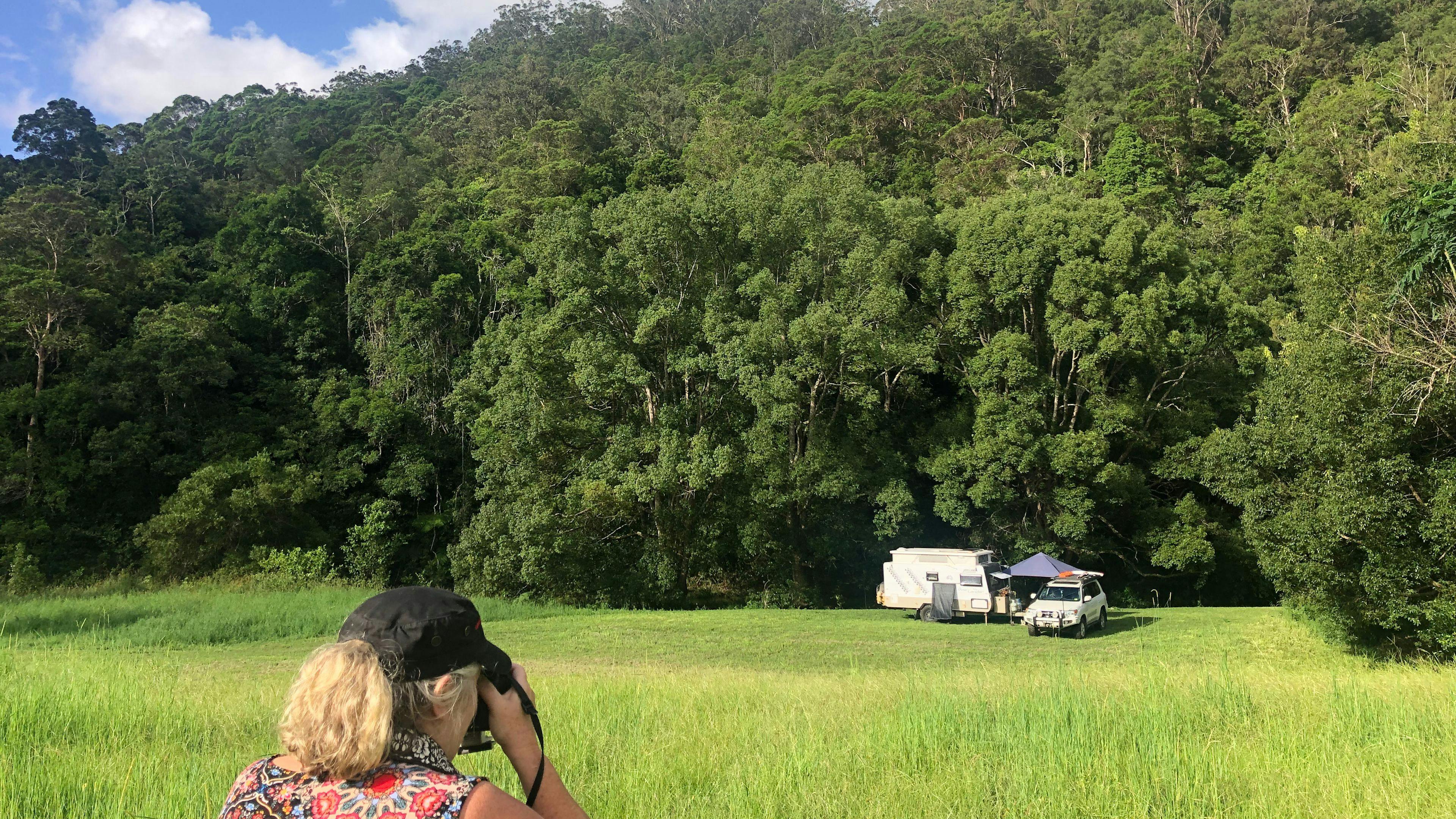 Rowlands Creek Camp Area