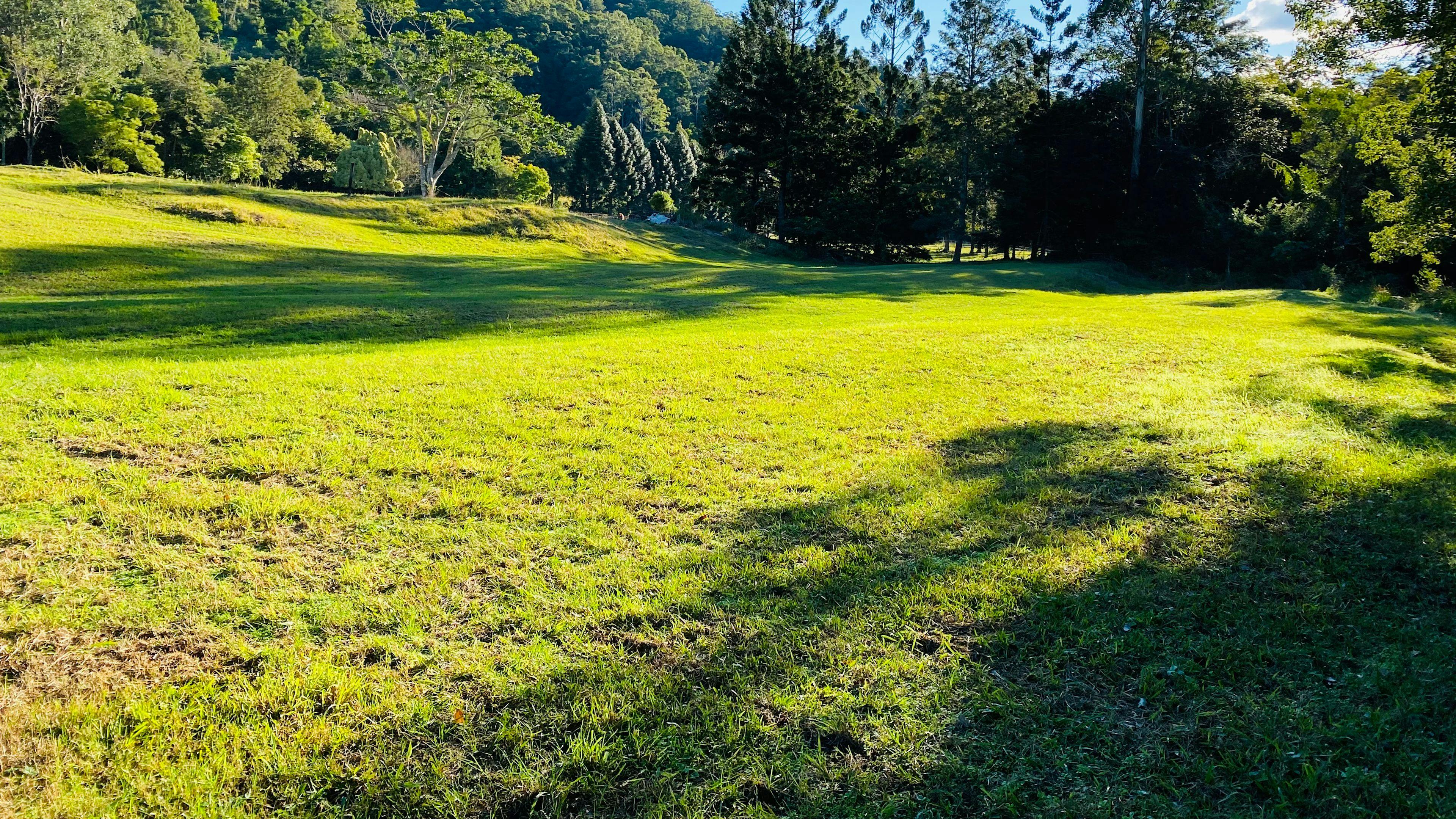 Rowlands Creek Camp Area