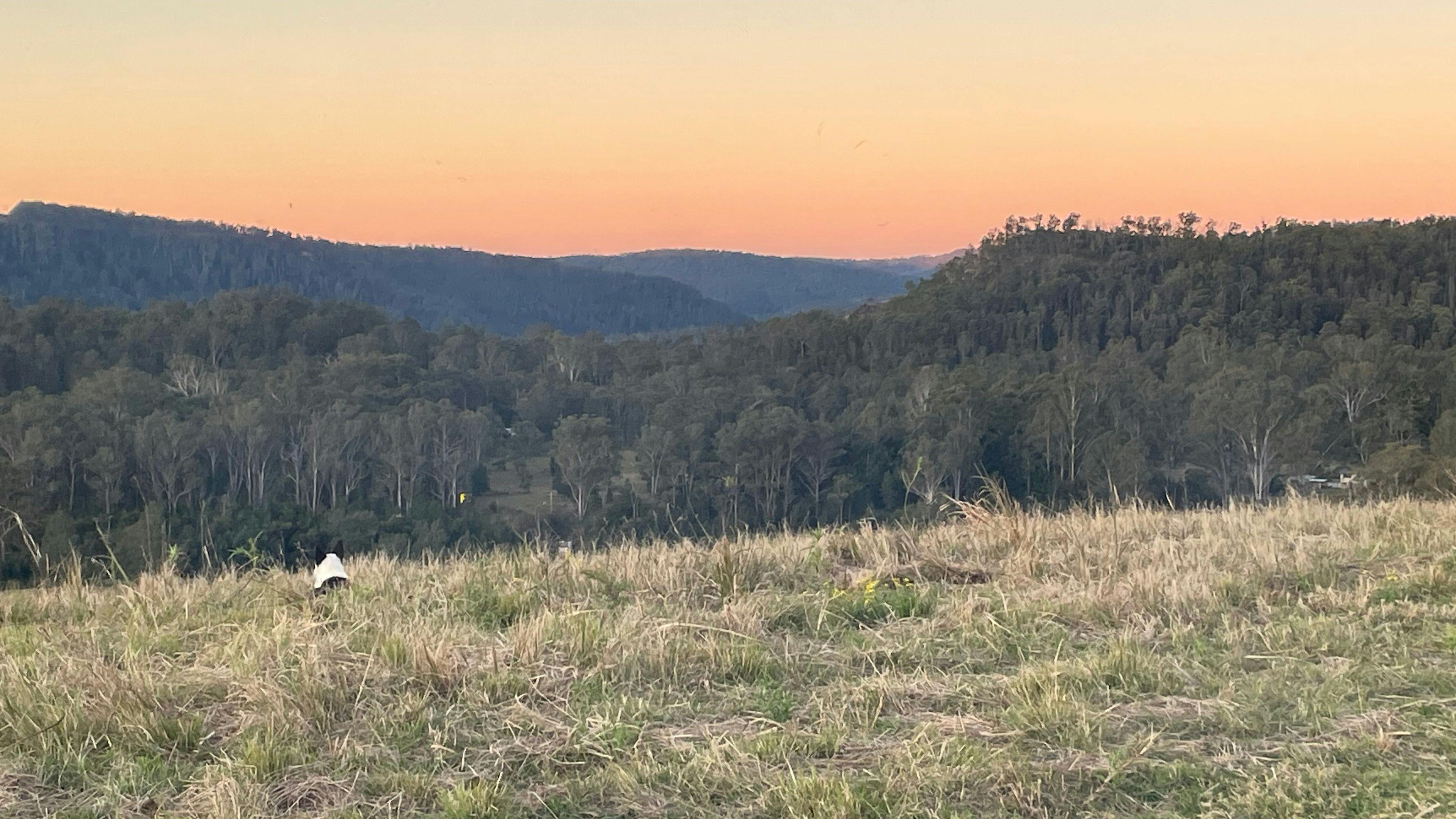 레드뱅크 캠프장