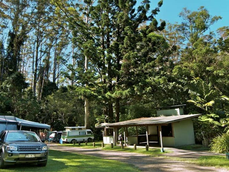 Rummery Park Camping Area, Whian Whian State Conservation Area. Photo: John Spencer &copy; OEH