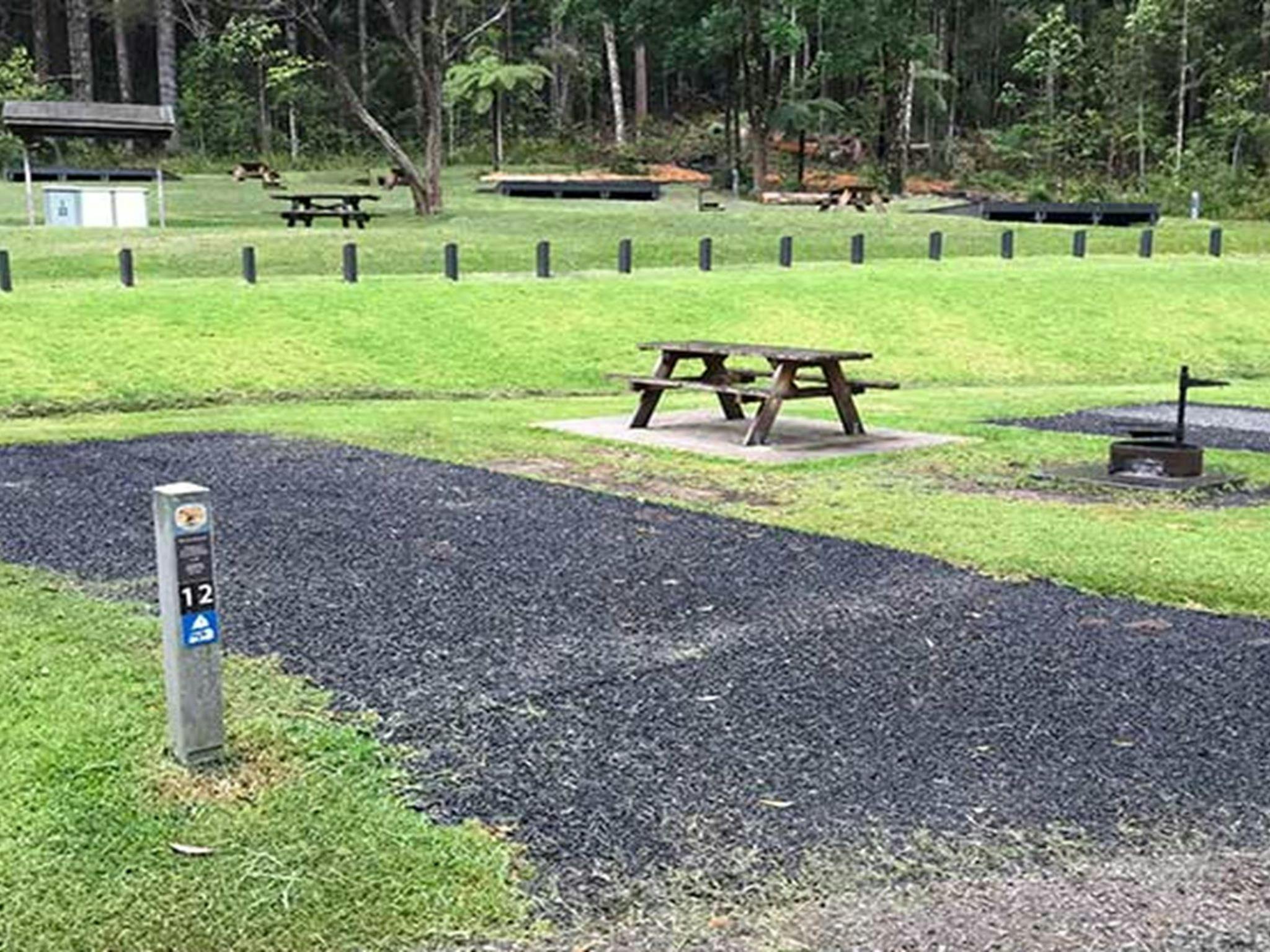 Site 12 tent vehicle site at Rummery Park campground. Photo: Andrew Fay/OEH