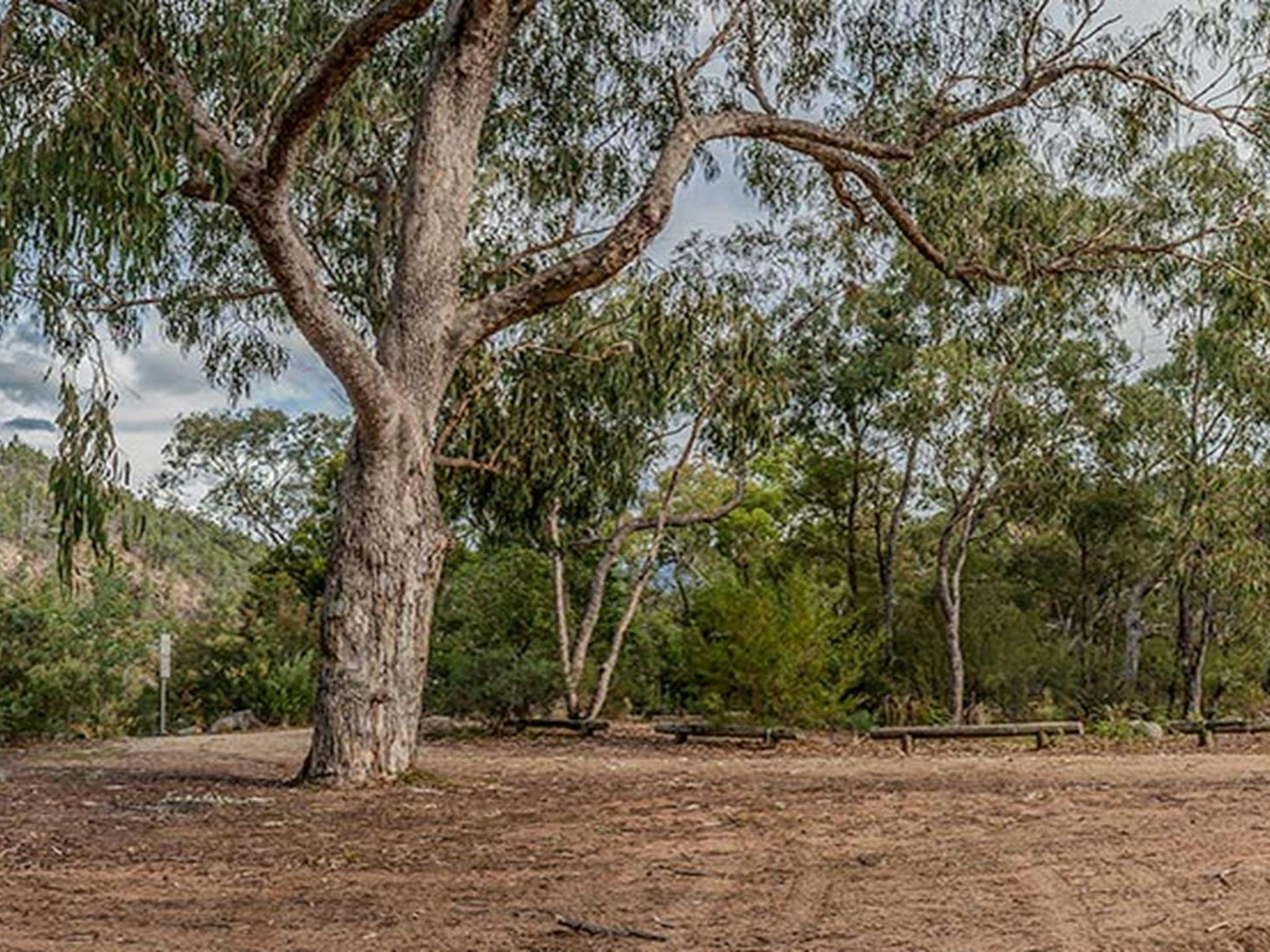 Running Waters campground, Kosciuszko National Park. Photo: Murray Vanderveer/DPIE