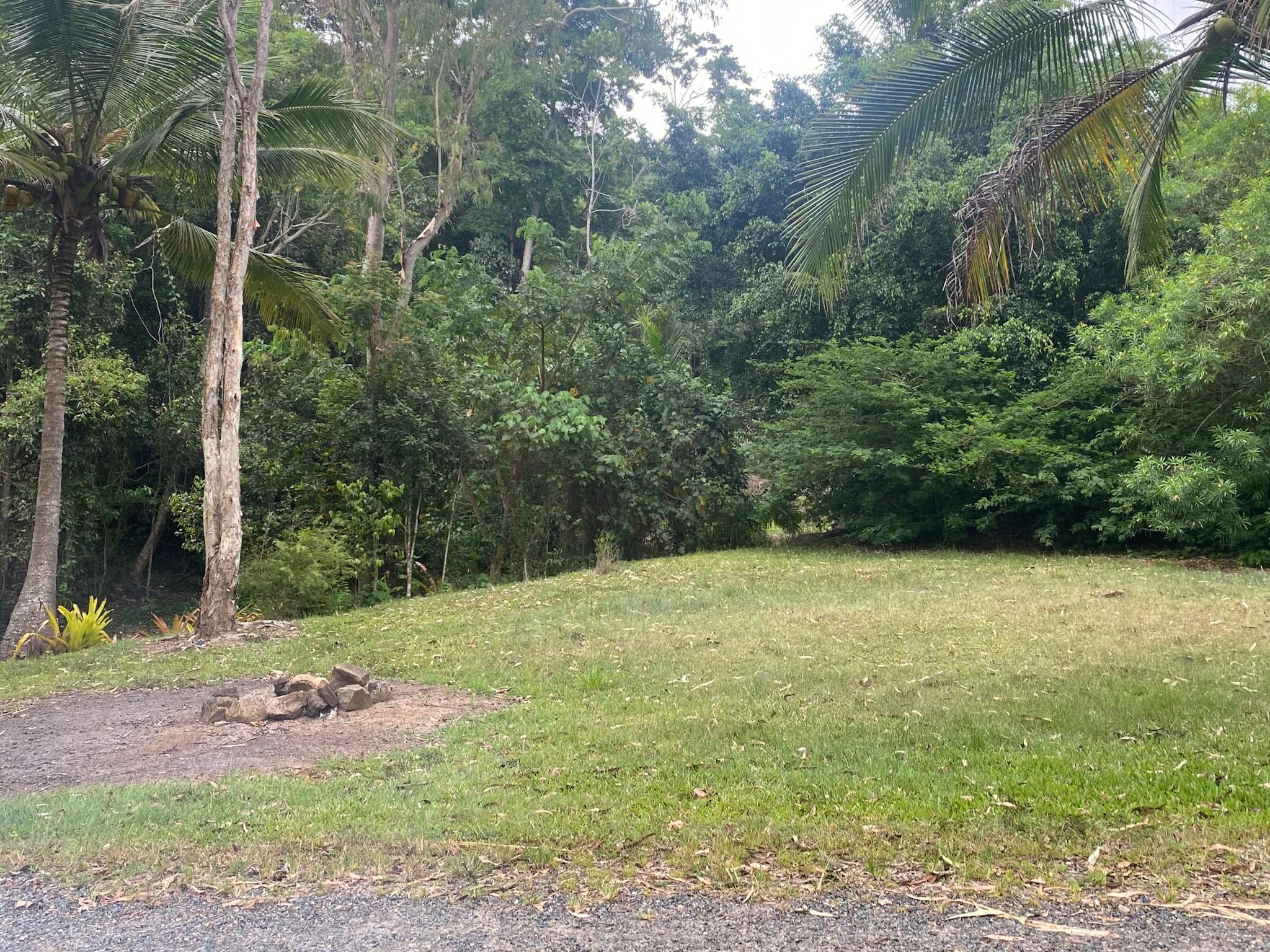Rainforest Rural Rural Rainforest retreat in Sugarloaf - The Fold: Your Guide to ...