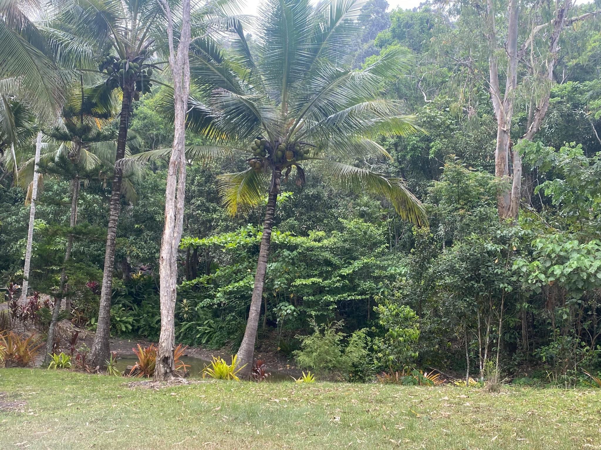 Rainforest Rural Rural Rainforest retreat in Sugarloaf - The Fold: Your Guide to ...