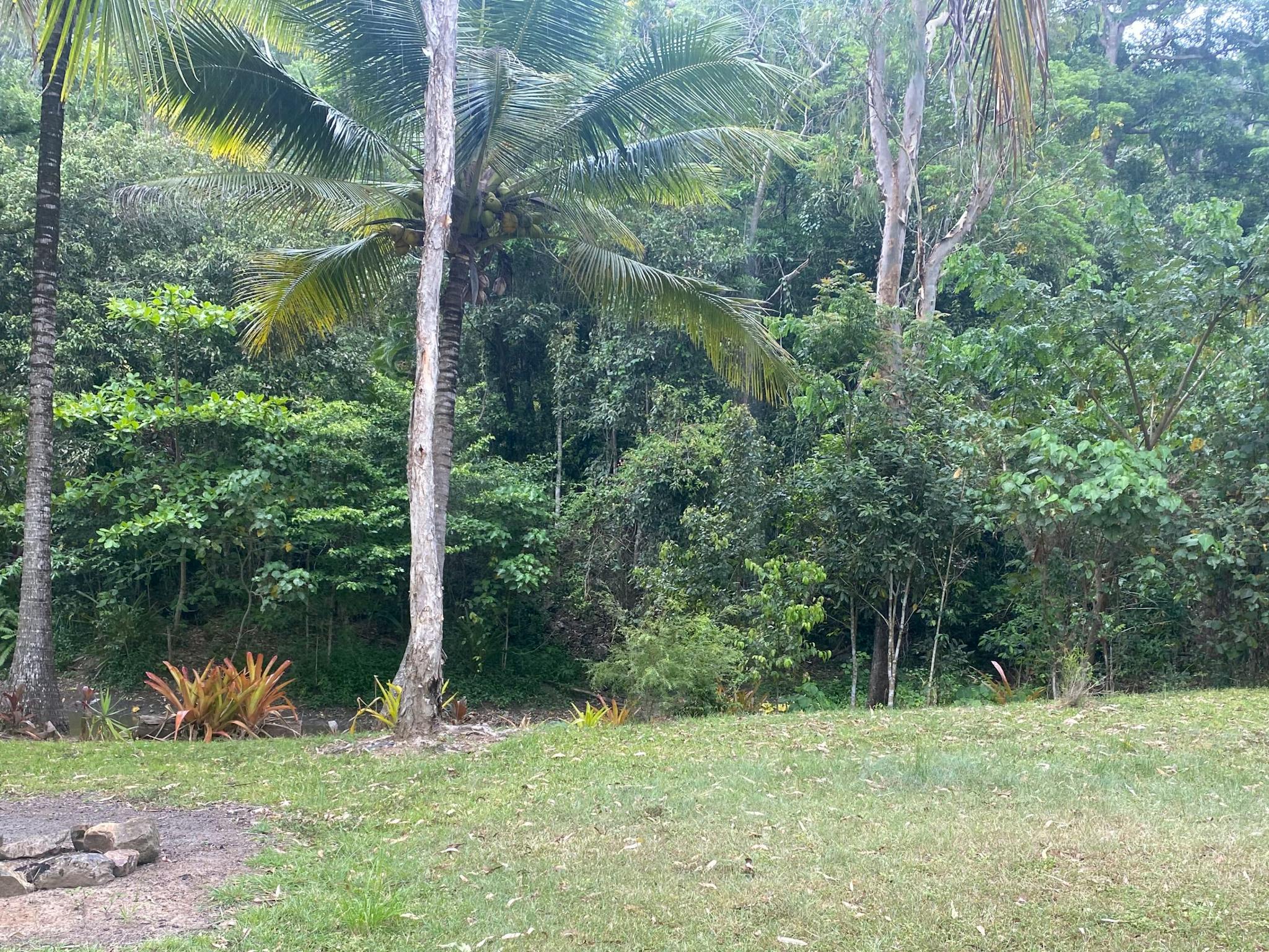 Rainforest Rural Rural Rainforest retreat in Sugarloaf - The Fold: Your Guide to ...