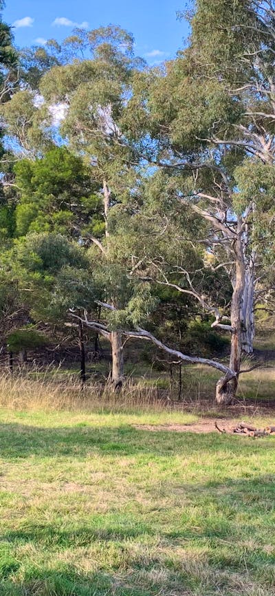 View from site 3