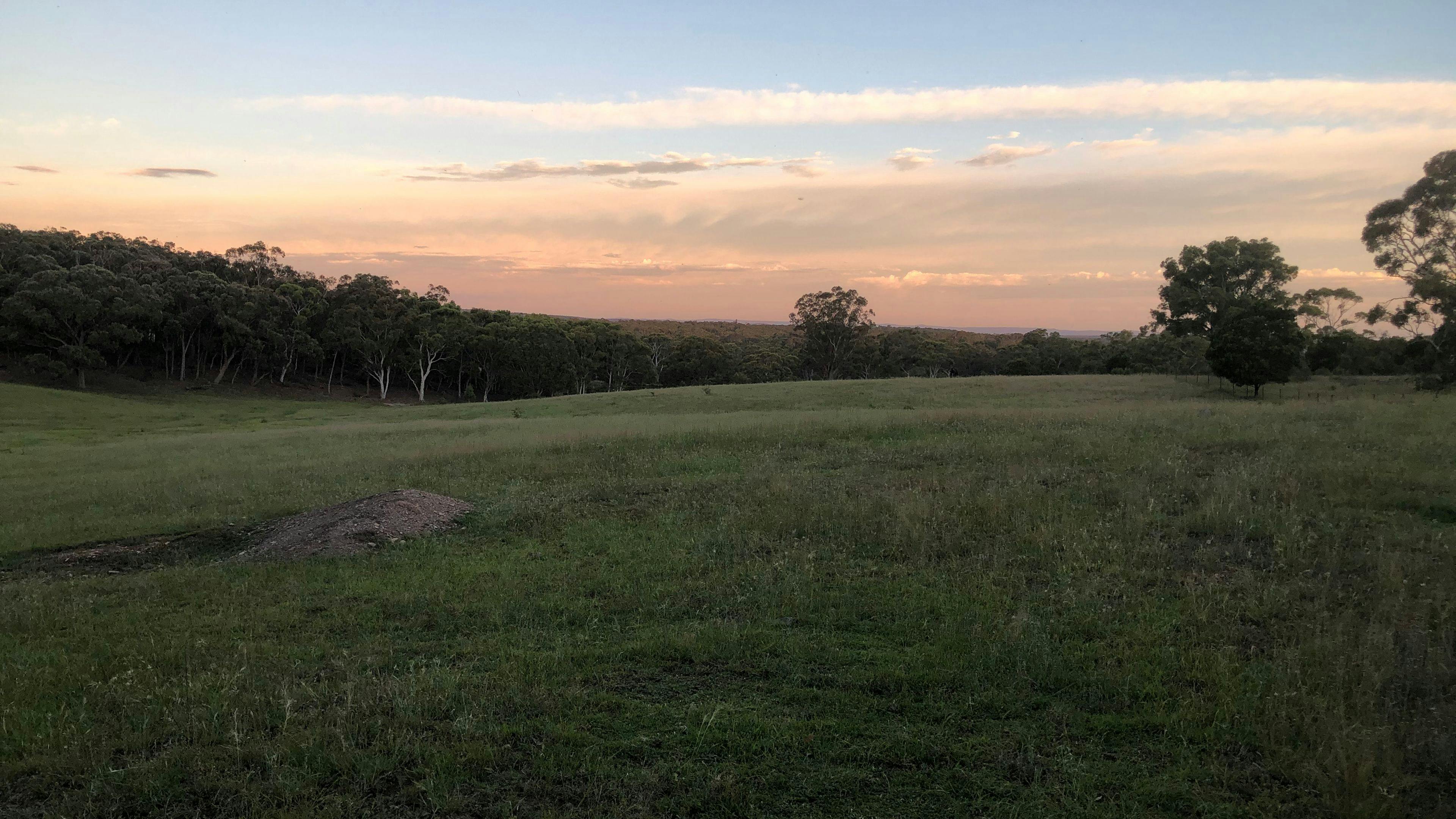 Rural Views